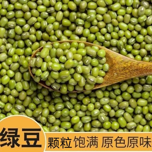 东北新绿豆100g-5斤颗粒饱满煲汤绿豆沙甜品发豆芽绿豆子容易出沙