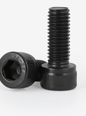 M6M8M10M12黑色304不锈钢杯头内六角螺丝圆柱头螺栓*10x20x35x100