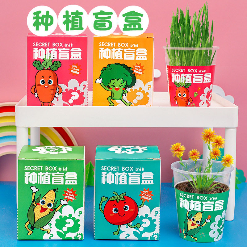 儿童植物种植盆栽盲盒小学生六一小学生礼物励志奖励幼儿园小礼品