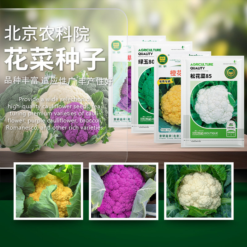 花菜种子松花菜西蓝兰花紫色花椰菜白菜花苗宝塔菜农科院蔬菜籽孑,农用物资,蔬菜种子/种苗,淘宝优惠券,粉丝福利购,淘宝优惠卷