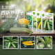 西葫芦种子茭角瓜黄香蕉球形菜瓜飞碟瓜耐热耐寒农科院蔬菜种籽孑