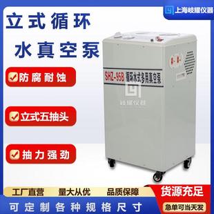 立式 95B循环水真空泵实验室蒸馏减压小型双表双抽多用真空泵 SHZ