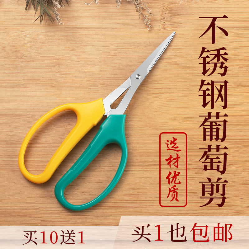 翘头葡萄蔬果剪刀修果剪包邮阳光玫瑰蔬花剪子葡萄专用剪花椒采摘