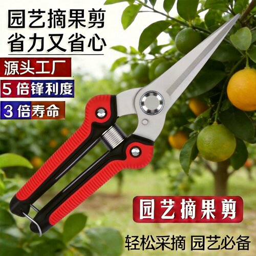 德国进口专用摘果剪园林园艺剪