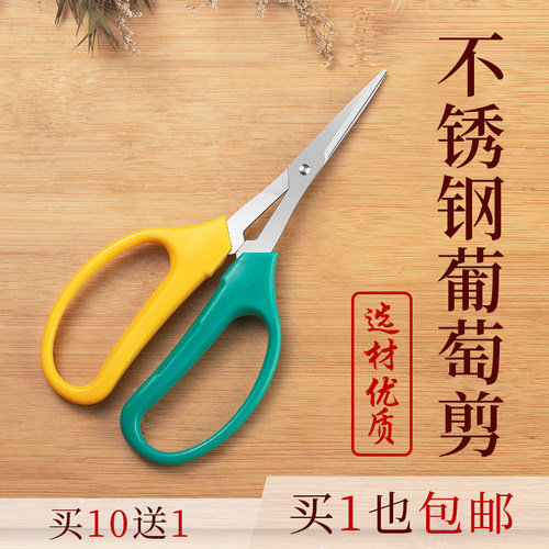 葡萄剪刀不锈钢疏果剪修枝剪采摘修剪多功能水果店专用园艺工具