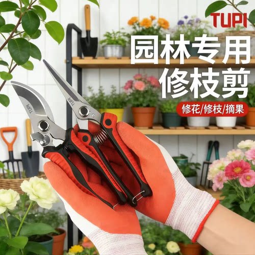 德国进口柑橘剪加厚刀片SK5钢