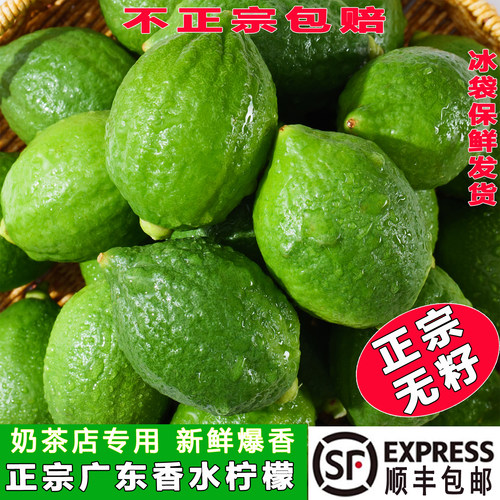 正宗广东香水柠檬商用奶茶店专用