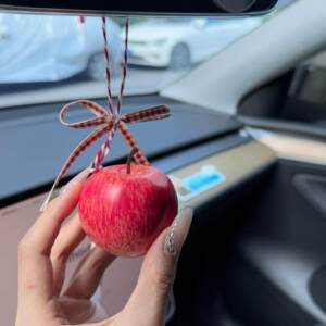【出入苹安】苹果车载挂