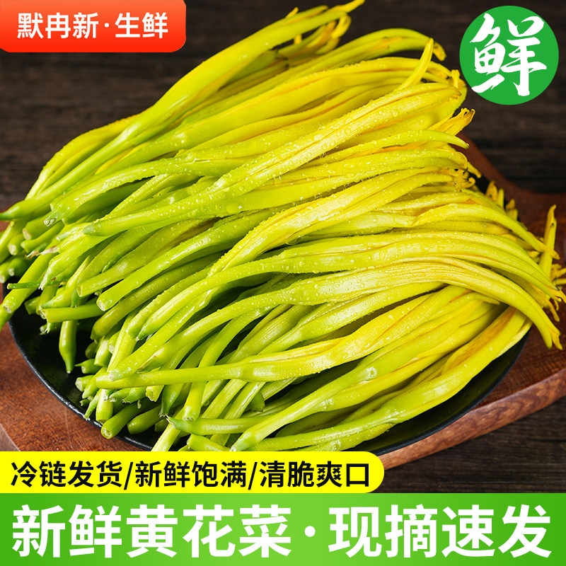 当季时令农家金针菜蔬菜野菜包邮