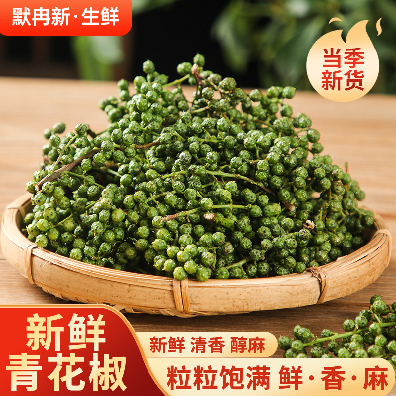 【现货】新鲜青花椒500g现摘非四川新鲜花椒生麻椒鲜青藤椒鲜花椒