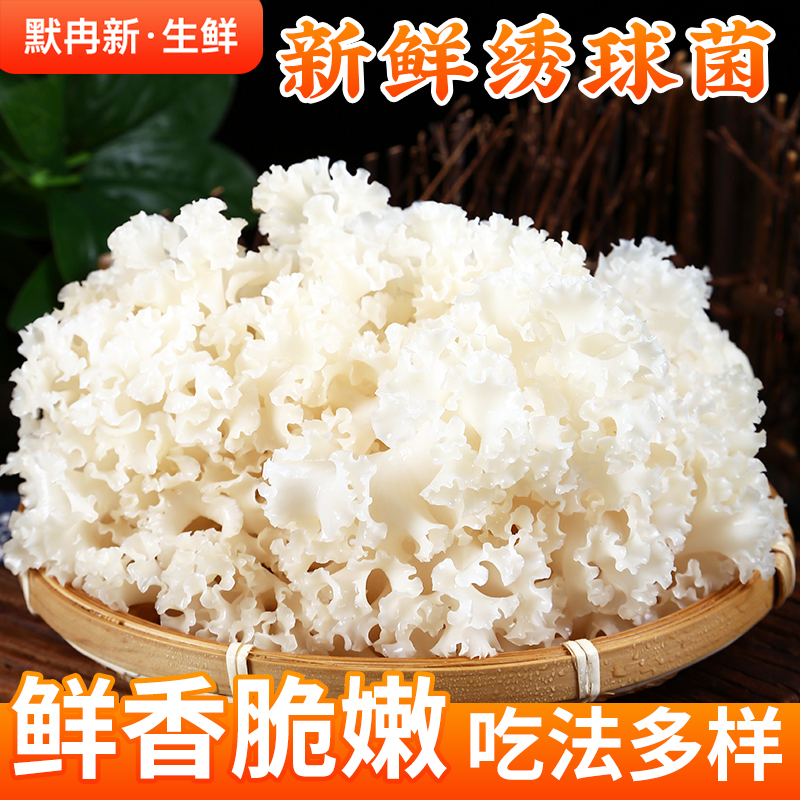 【现货】新鲜绣球菌2斤现摘云南食用菌鲜绣球菇火锅鲜菌蘑菇包邮