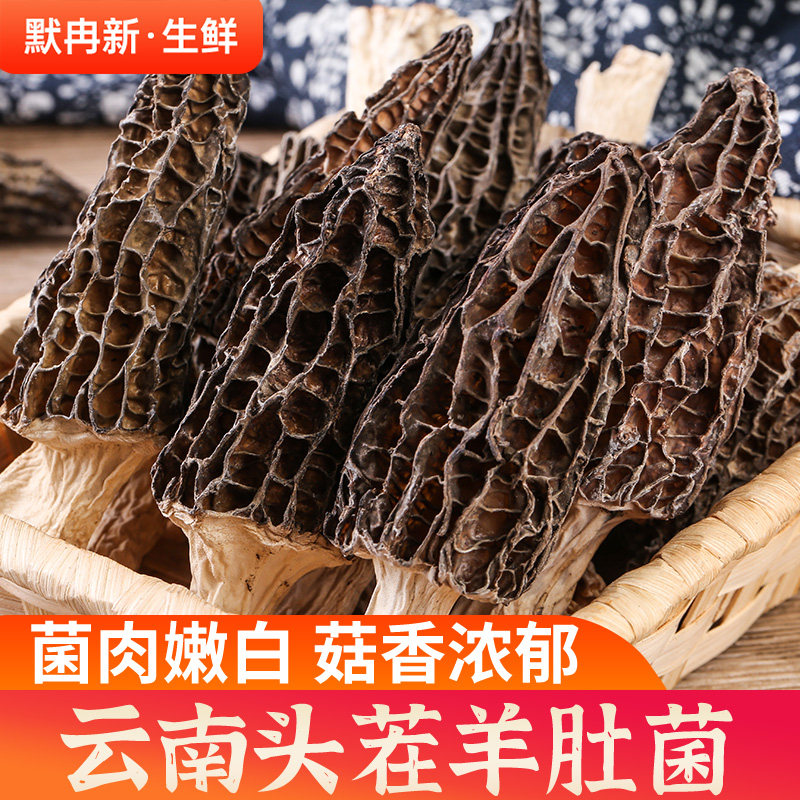 现货特级干蘑菇煲汤料500g羊肚菌