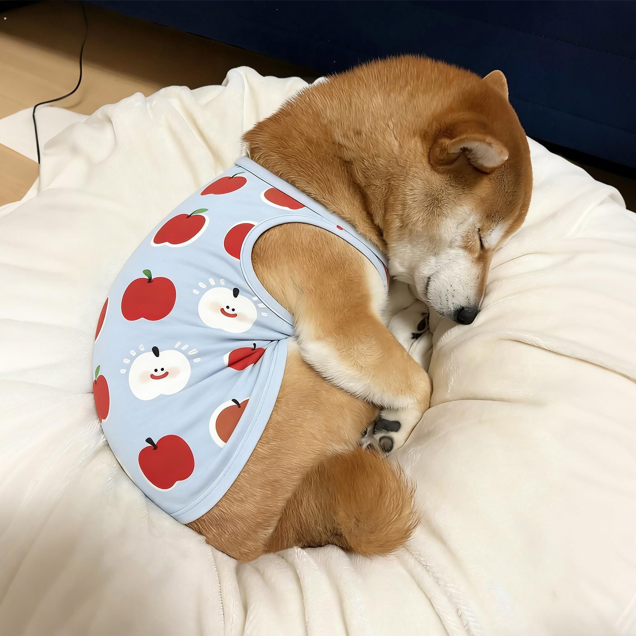 狗狗衣服中小型犬薄款小背心柴犬柯基春夏季防脏防掉毛浅蓝两脚衣