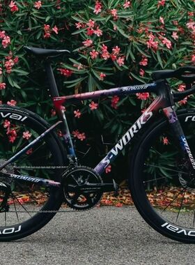 SPECIALIZED闪电 S-WORKS TARMAC SL8 公路自行车车架