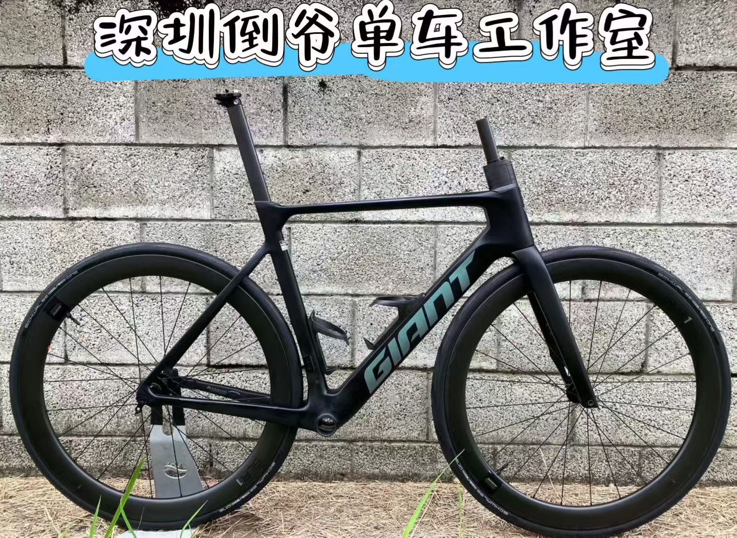 Giant Propel adv pro 捷安特全内走碳纤维公路自行车碟刹车架