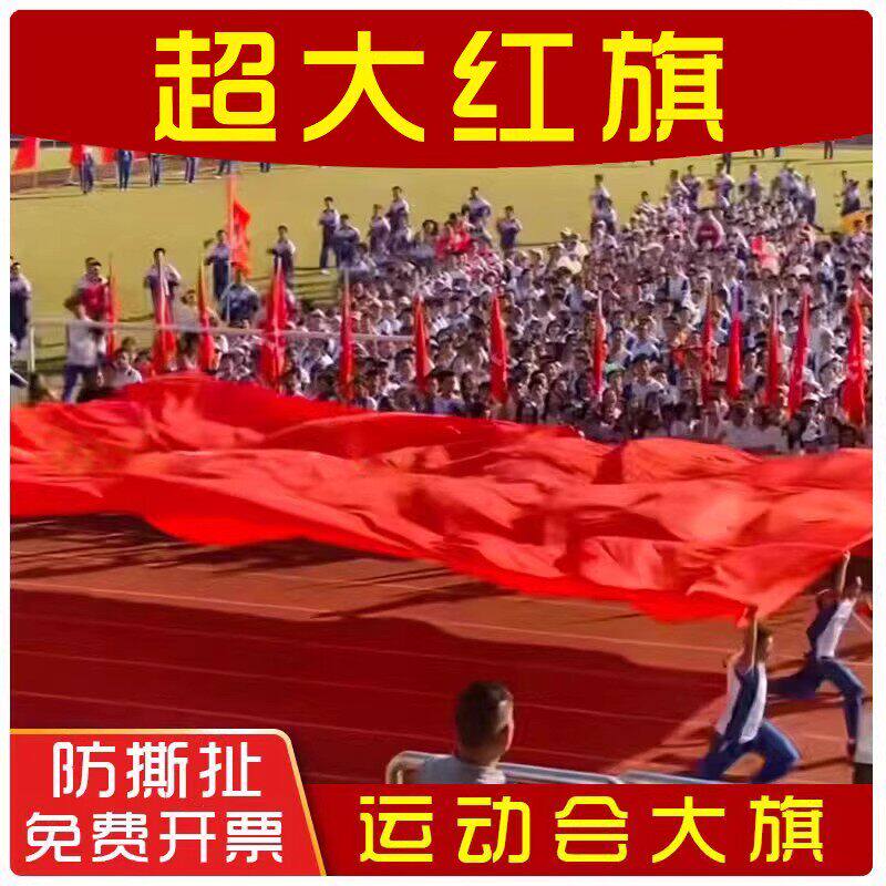 运动会超大号五星红旗定制