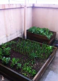 屋顶花园土工布园艺种植垫底过滤阳台楼顶种菜种花种草无纺布水布