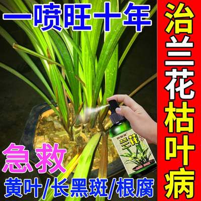 兰花肥料专用肥治黄叶黑斑烂根病杀菌药营养液爆芽剂缓释肥