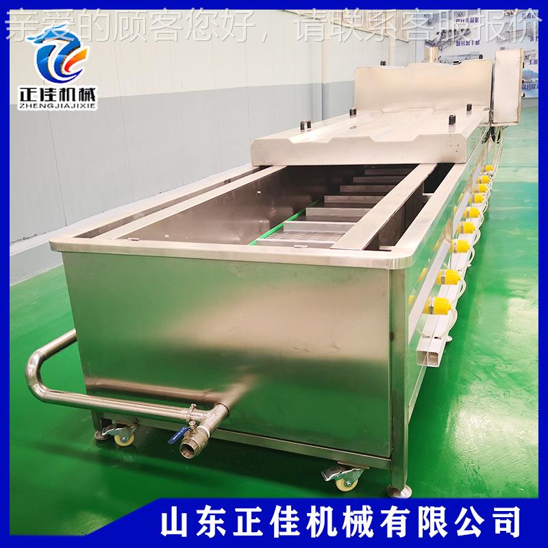 金针蔬DXC菜漂烫杀青机魔芋罐头 低温杀菌设备 商用型巴氏大杀菇