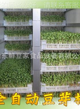 0河北豆芽机 INJ10斤自动豆芽机场 菜市农贸市场豆芽机家厂直销