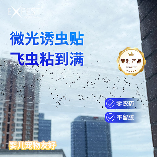 EXPEST窗户抓小飞虫10片装