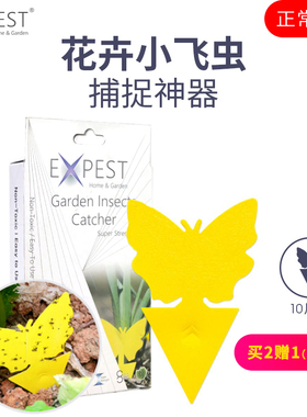 EXPEST植物灭花盆小黑飞虫粘虫板室内绿植盆栽除虫花卉家用