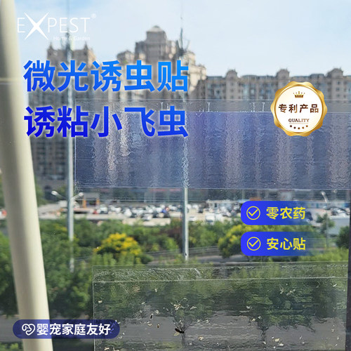 EXPEST窗户抓小飞虫10片装