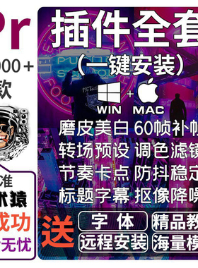 pr插件全套一键安装包中文转场磨皮调色字幕预设素材模板教程2025