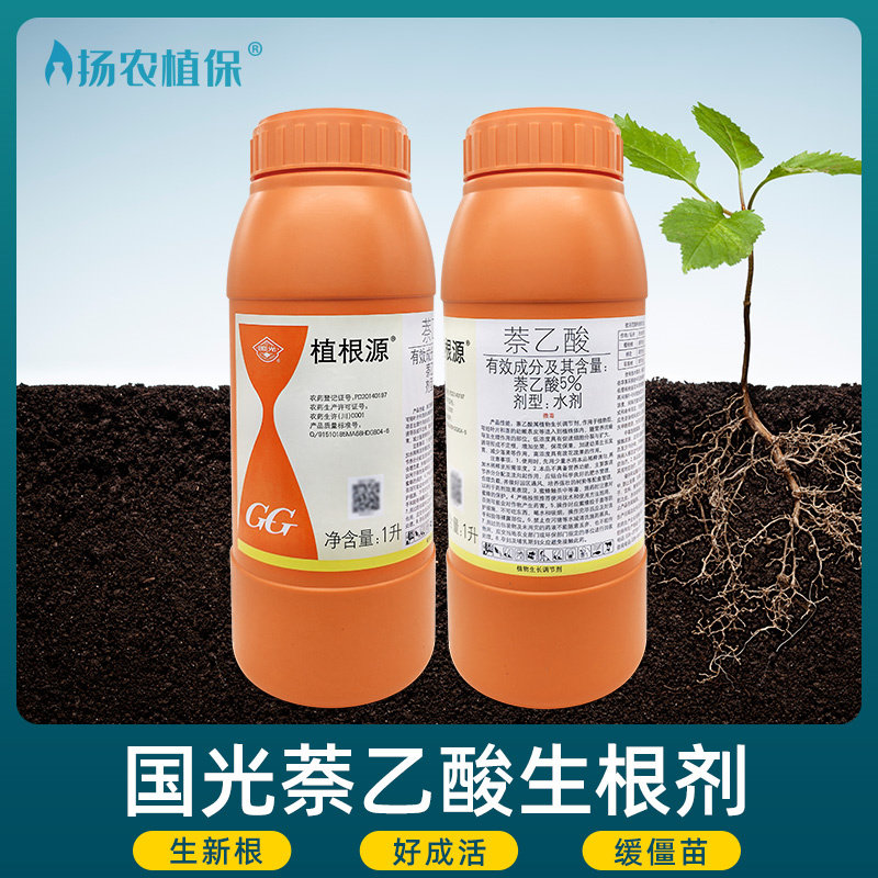 国光植根源5%萘乙酸生根剂水移栽壮根生根剂植物生长调节剂生根液