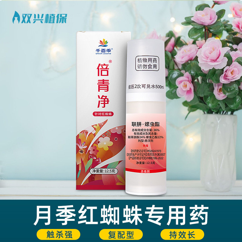 倍青净联肼螺虫酯月季红蜘蛛杀虫图片
