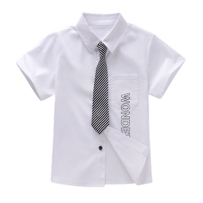 夏季短袖衬衫纯棉衬衣送领带