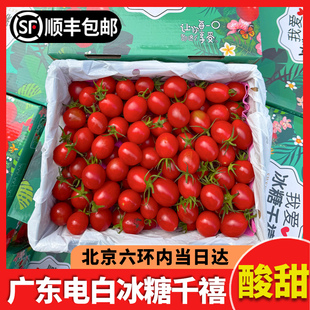 北京当日达】广东电白千禧2斤整箱新鲜圣女果爆汁小番茄水果包邮