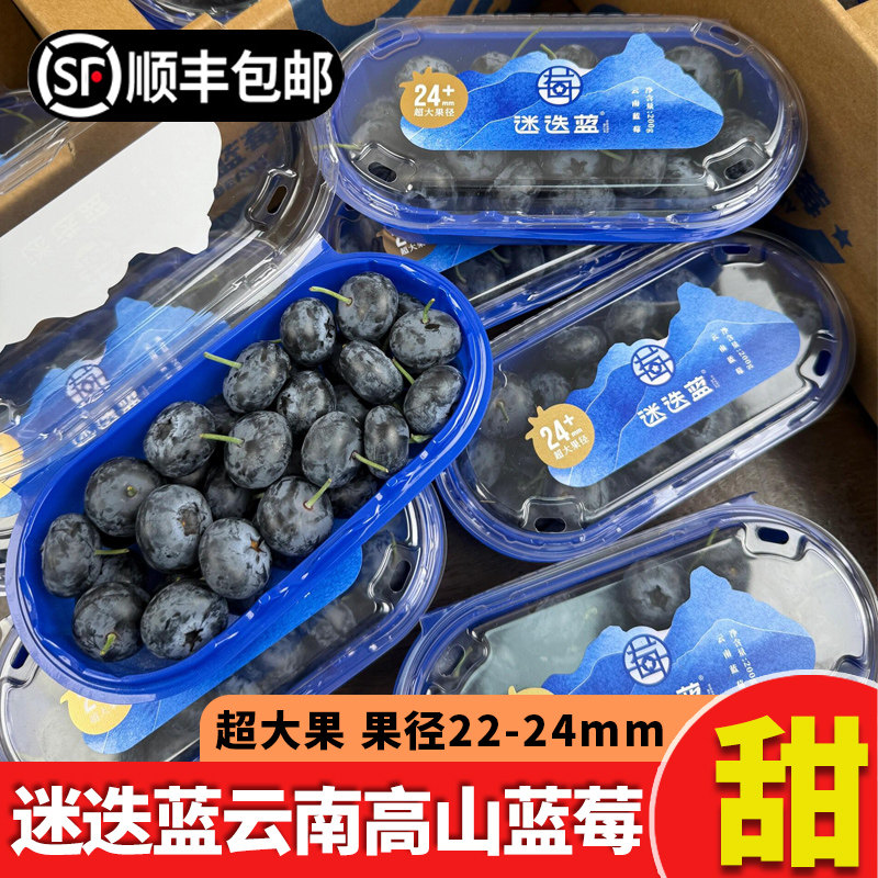 迷迭蓝蓝莓云南高山新鲜鲜果甜带枝宝宝水果超大野生果径24+官方