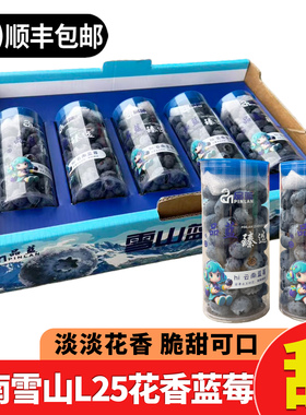 云南雪山L25花香蓝莓鲜果筒装大果18mm当季新鲜孕妇水果顺丰包邮
