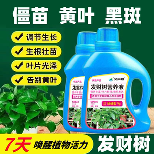 發財樹專用營養液黃葉急救植物通用營養液盆栽綠植花肥幸福樹肥料