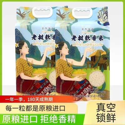 一年一季老挝进口原生态软香米