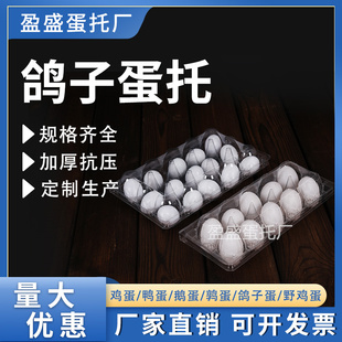 一次性塑料鸽子蛋托10枚15枚山鸡蛋托透明鸽子包装盒厂家直销包邮