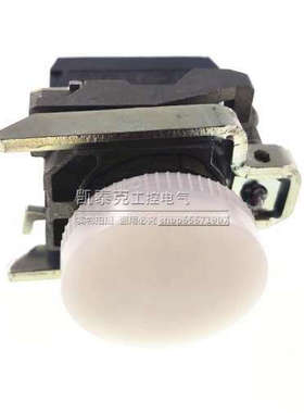 原装正品绿色LED指示灯 XB4-BVG1 XB4BVG1 ZBV-G1 48-120V