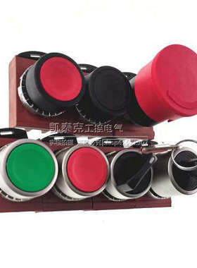 美国GE通用电气按钮头P9MPNVG/P9MSMD0N/P9XER4RAN/P9MSCZ0T95