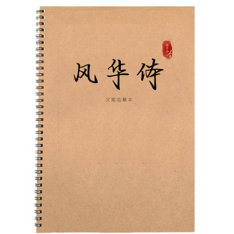 风华体励志语录硬笔练字帖