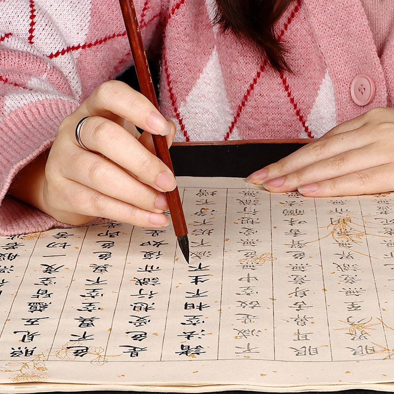 手抄临摹描红字帖行楷小楷初学者