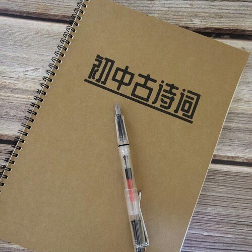 初中生唐诗宋词古诗词楷书练字帖