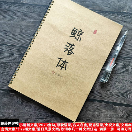 鲸落体网红励志名言练字帖