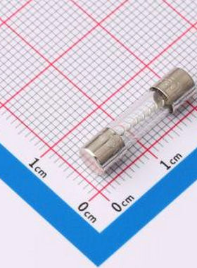 0213004.MXP 一次性保险丝 FUSE 5x20 T LBC 4A/250V (P) -