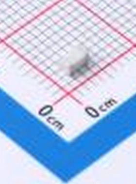 2R200SM-E 气体放电管(GDT) 2R200SM-E SMD,1.6x3.2mm 气体放电管