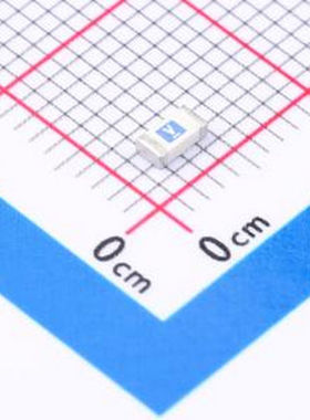 0407006.WR 一次性保险丝 0407006.WR 1206