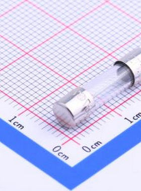 02131.25MXP 一次性保险丝 玻璃管保险丝 D5xL20mm