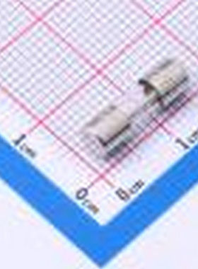 0229005.MXP 一次性保险丝 125V -
