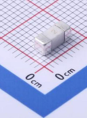 2410LC-2A 一次性保险丝 2A 125V SMD