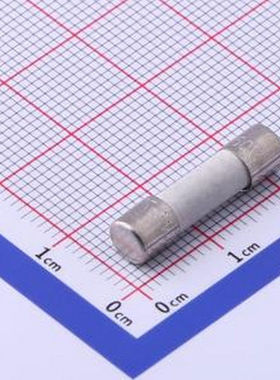 524-6.3A/250V 一次性保险丝 电流保险丝陶瓷慢断 单体 D5xL20mm